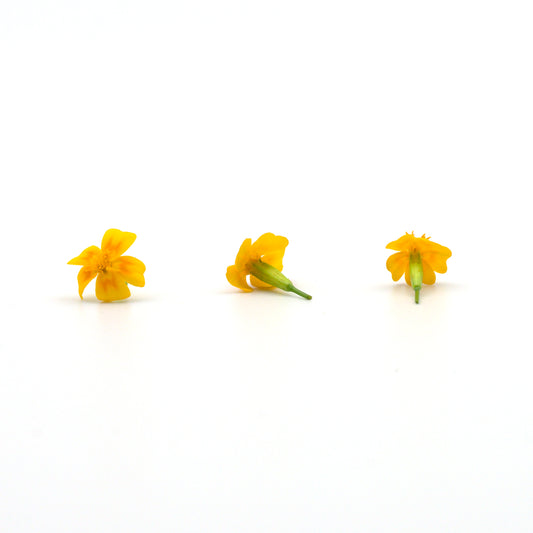 tagete edible flowers singapore
